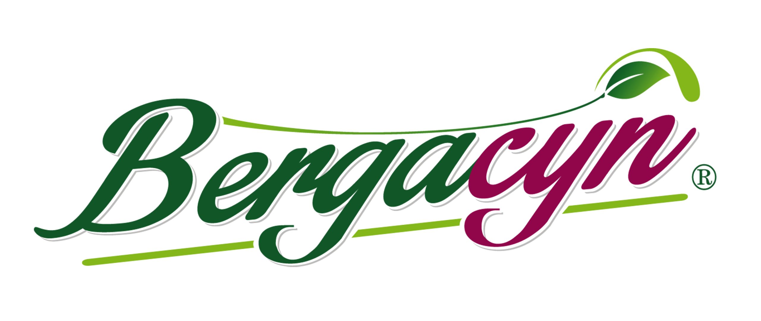 Bergacyn_Logotipo