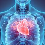 Only a Heartbeat Away:  Bergamonte® Enhances Cardio Formulas