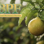 Danielle Lin Podcast: The Light of Bergamot BPF – Vincenzo Mollace, MD