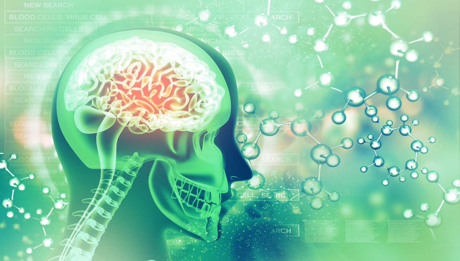 How to Sharpen Memory and Cognition Skills HP Ingredients